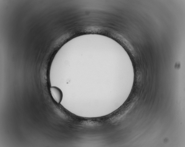 X0000102370633200808291249