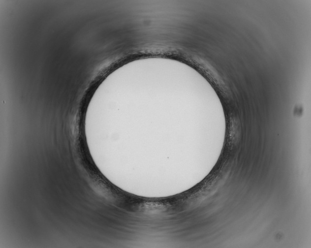 X0000102370636200808291249