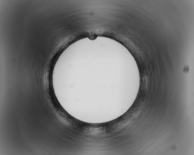 X0000102370638200808291249