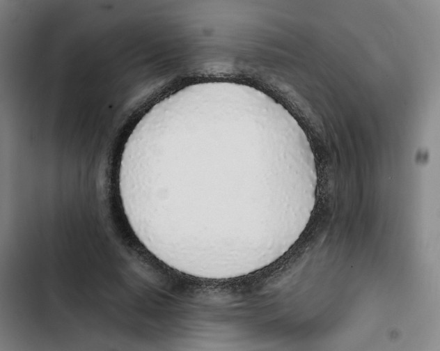 X0000102370640200808291249