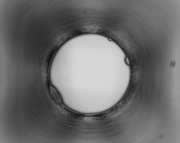 X0000102370641200808291249