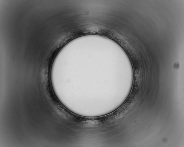 X0000102370642200808291249