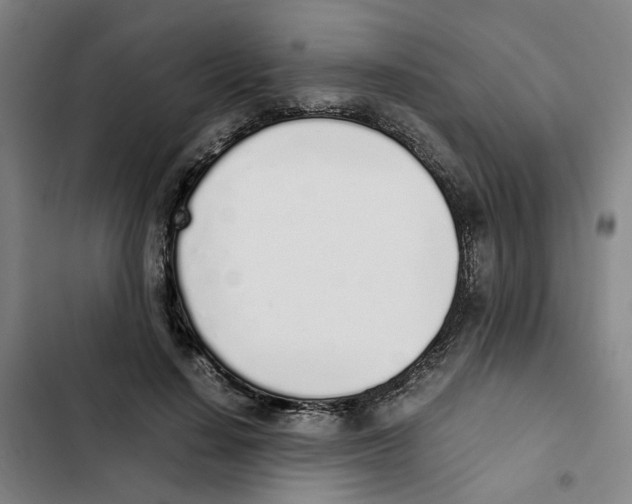 X0000102370644200808291250