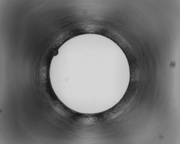 X0000102370646200808291250