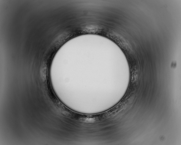 X0000102370647200808291250