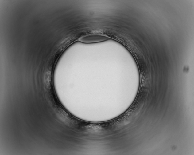 X0000102370648200808291250