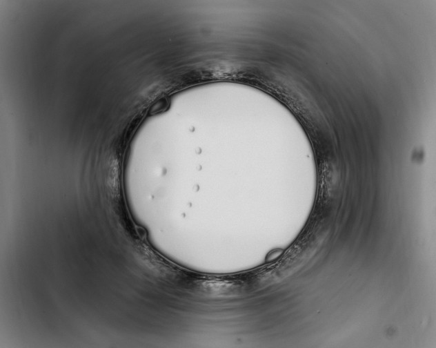 X0000102370650200808291250