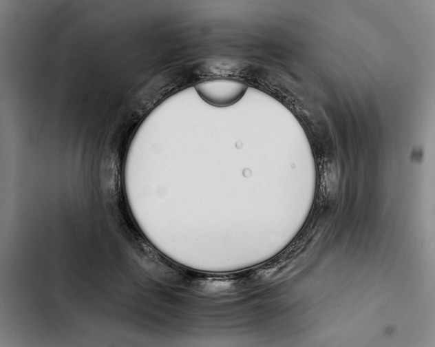 X0000102370651200808291250
