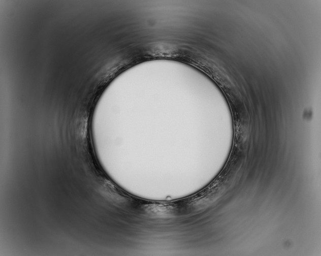 X0000102370652200808291250