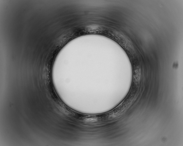 X0000102370653200808291250