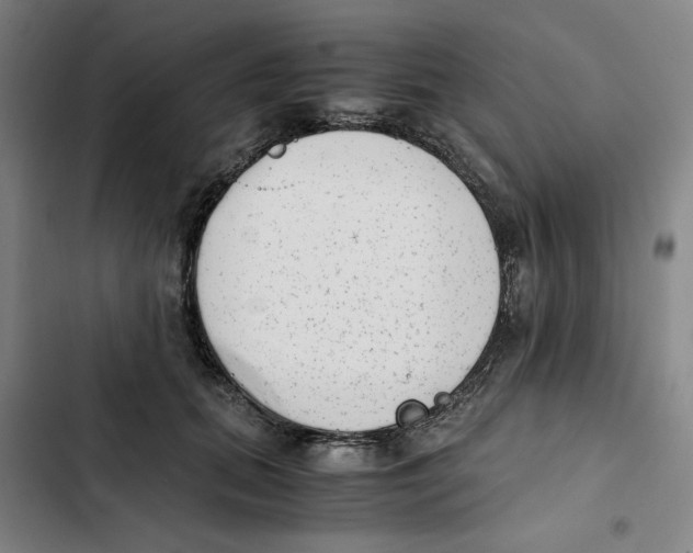 X0000102370655200808291250