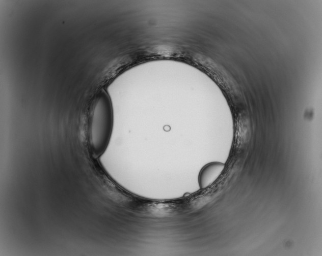 X0000102370656200808291250