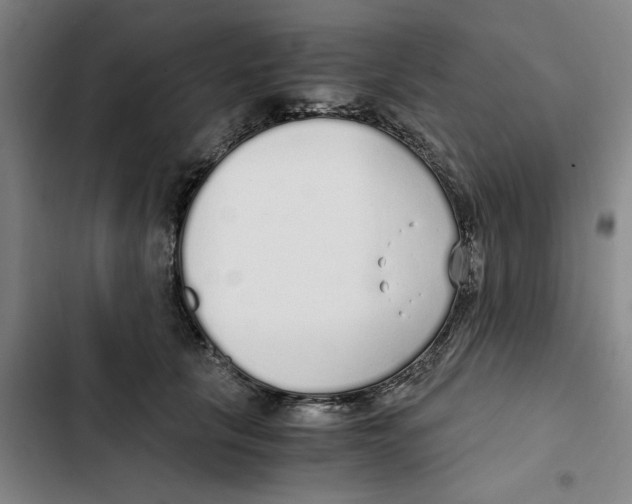 X0000102370657200808291250