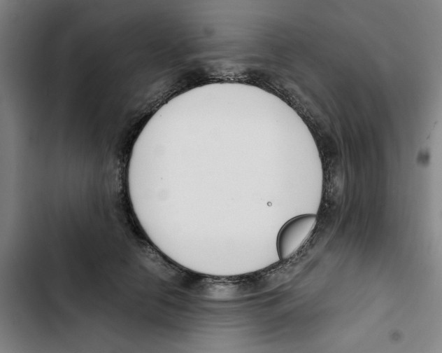 X0000102370658200808291250