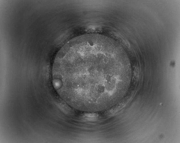 X0000102370659200808291250
