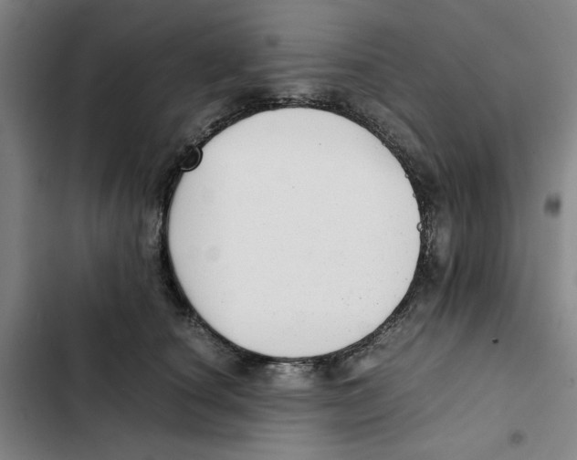 X0000102370660200808291250