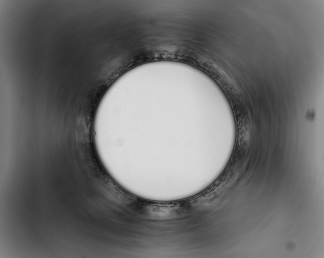 X0000102370661200808291250