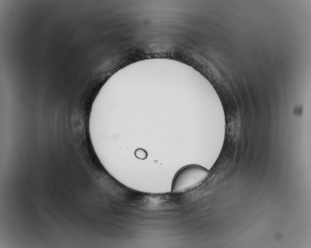 X0000102370662200808291250