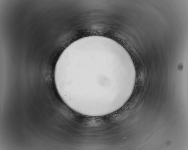 X0000102370663200808291250