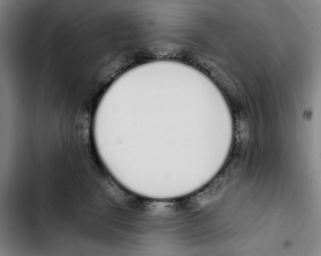 X0000102370664200808291250