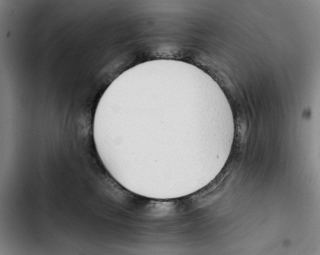 X0000102370665200808291250