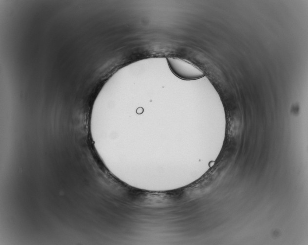 X0000102370666200808291250