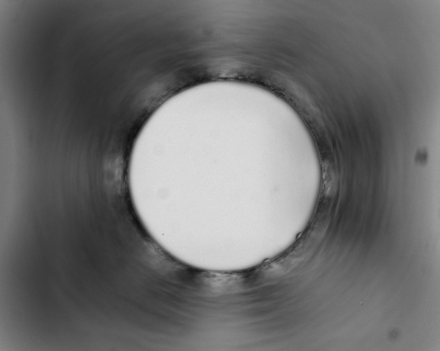 X0000102370670200808291250