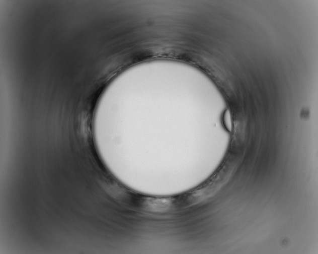 X0000102370671200808291250