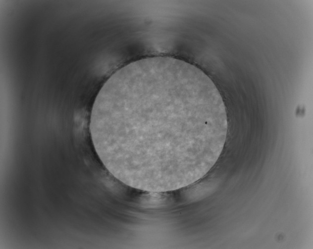 X0000102370672200808291250