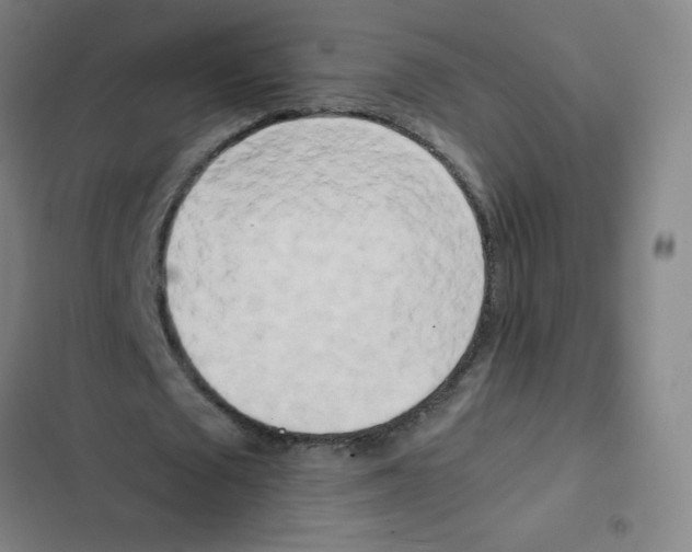 X0000102370673200808291249