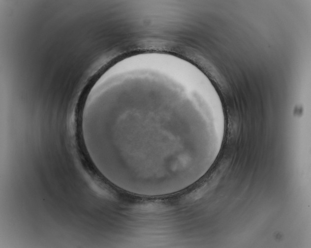 X0000102370674200808291249
