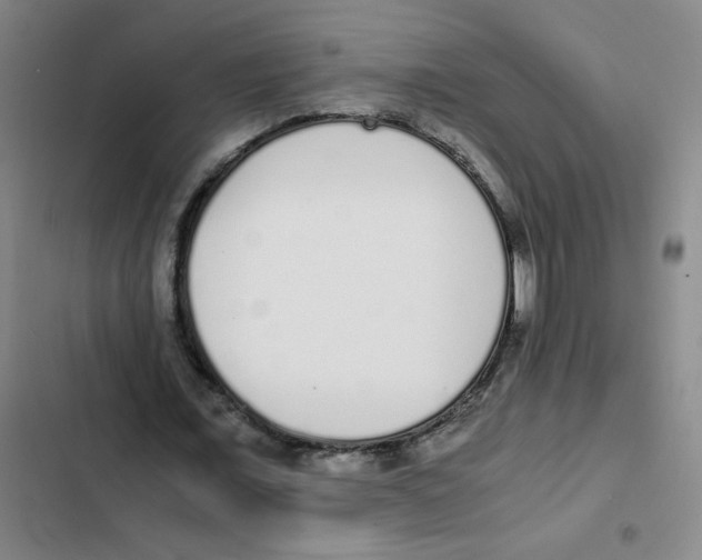 X0000102370675200808291249