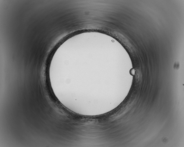 X0000102370676200808291249