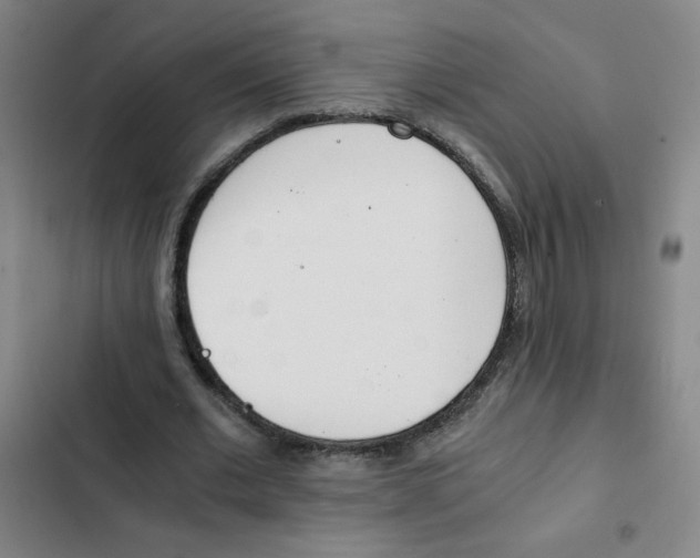 X0000102370677200808291249