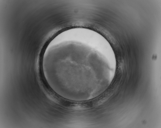 X0000102370678200808291249