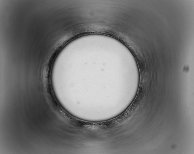 X0000102370679200808291249