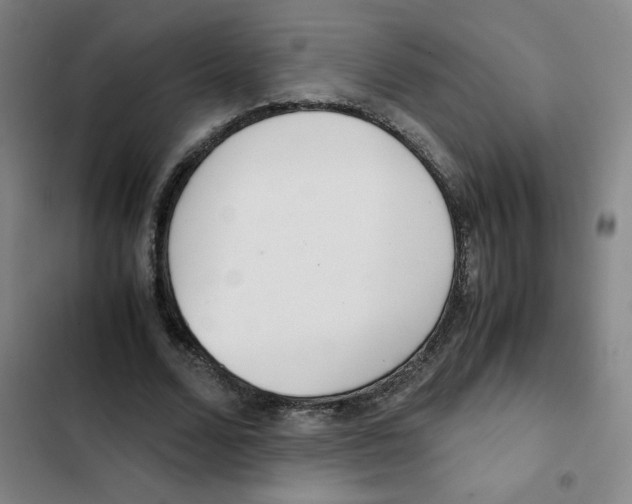 X0000102370680200808291249