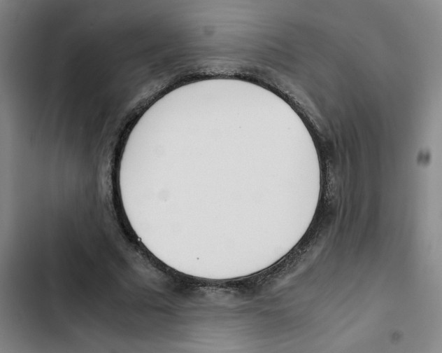 X0000102370681200808291249