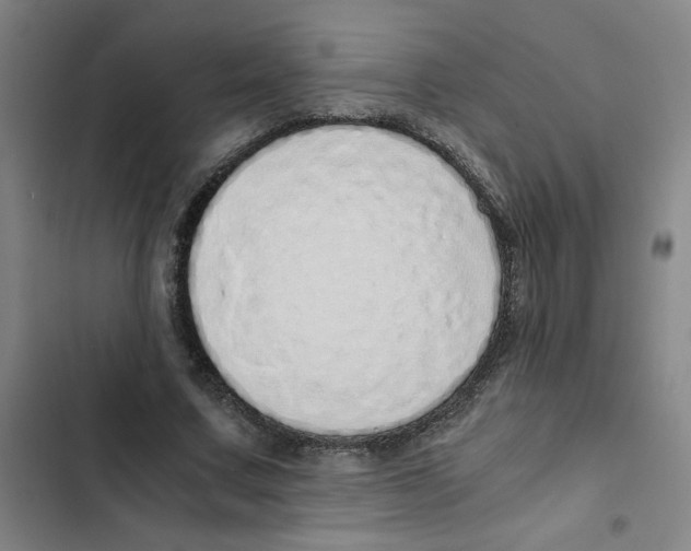 X0000102370683200808291249
