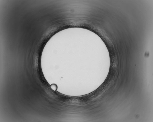 X0000102370685200808291249