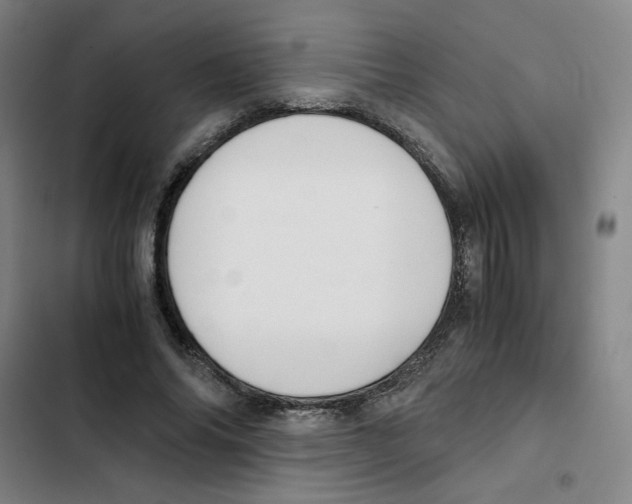 X0000102370686200808291249