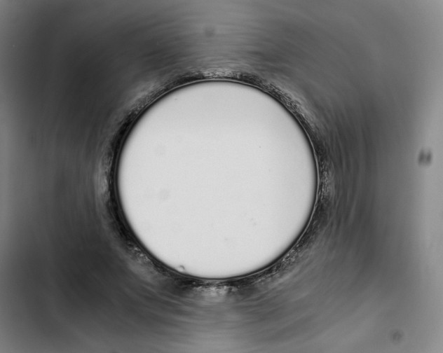 X0000102370687200808291249