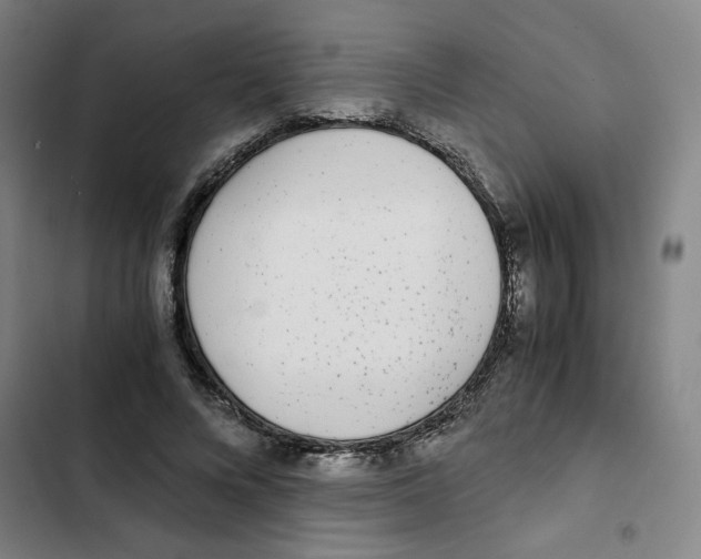 X0000102370688200808291249