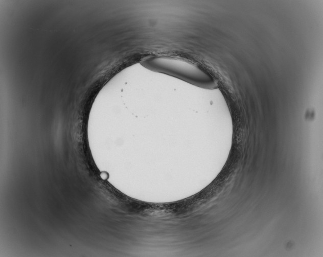 X0000102370689200808291249