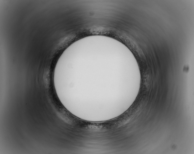 X0000102370690200808291249