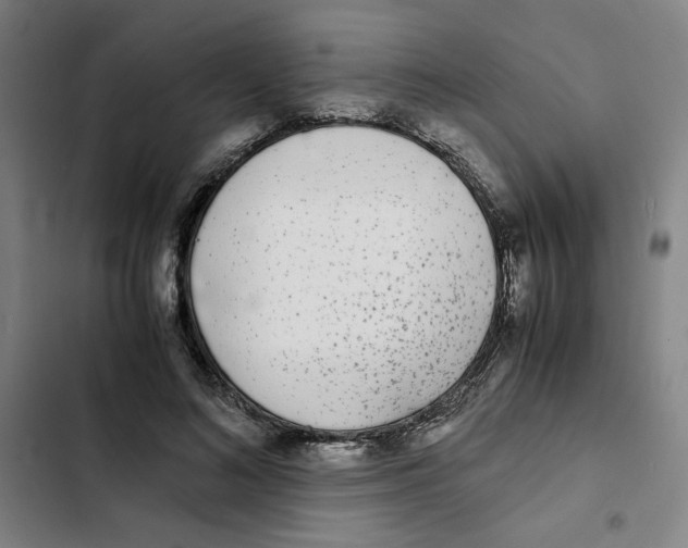 X0000102370692200808291249