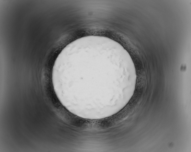 X0000102370695200808291249