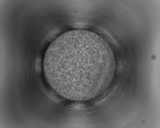 X0000102370696200808291249