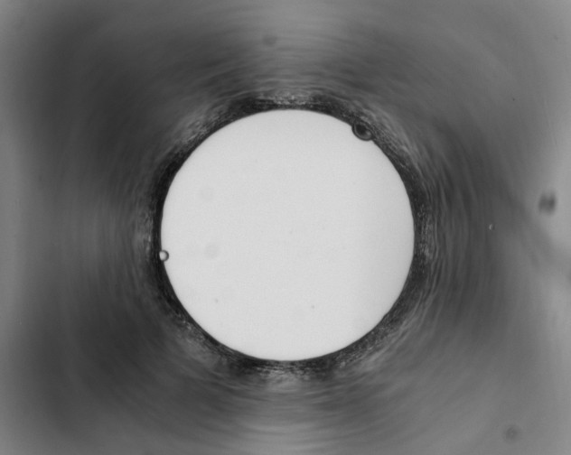 X0000102370697200808291249