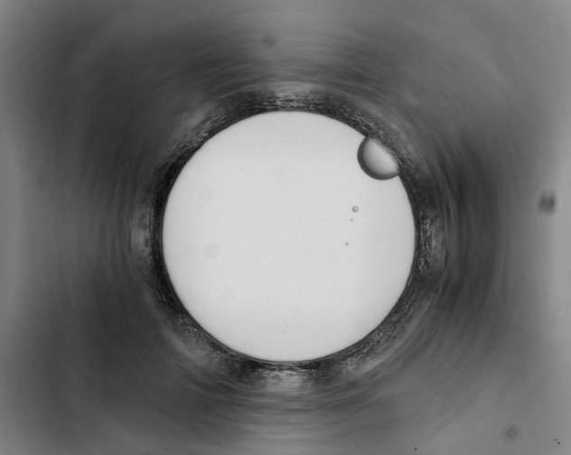 X0000102370698200808291249